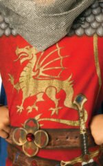 Child King Arthur Costume