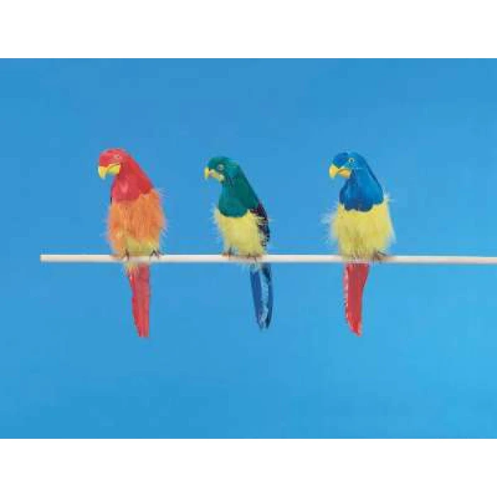 12" Pirate Parrot - Image 1