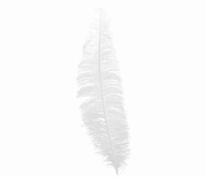 Ostrich Feathers Black / White / Red - Image 2