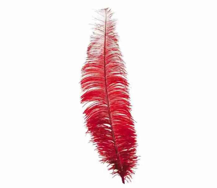 Ostrich Feathers Black / White / Red - Image 4