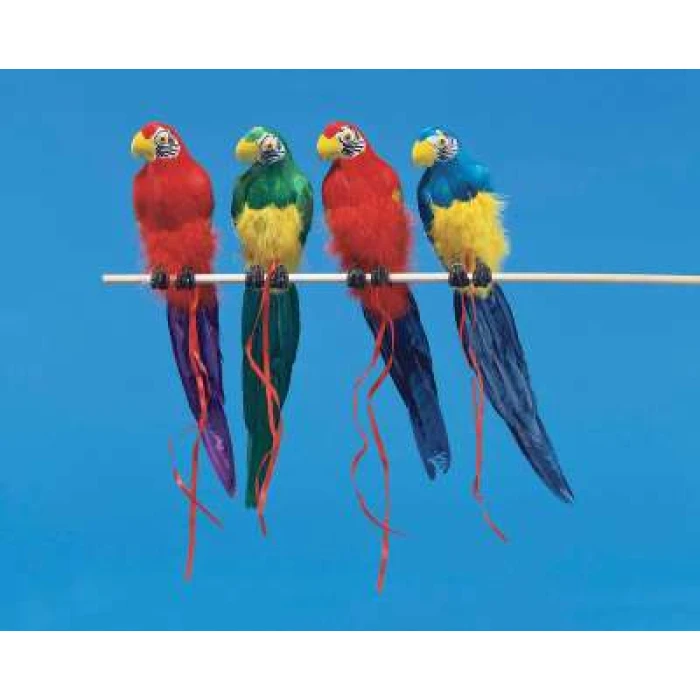 22" Pirate Parrot - Image 1