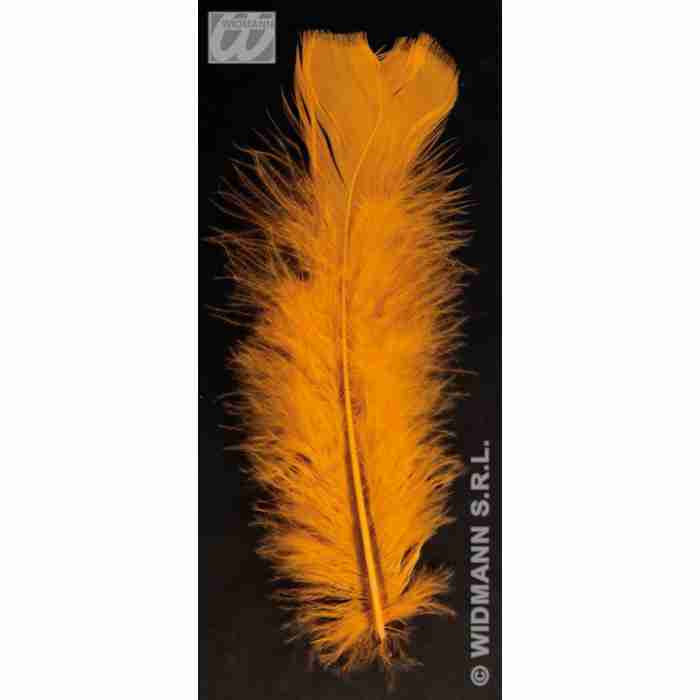 50 Feathers Orange