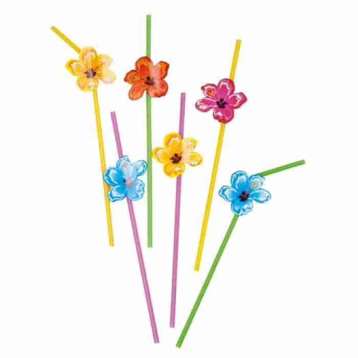 6 Hawaii Straws 52518