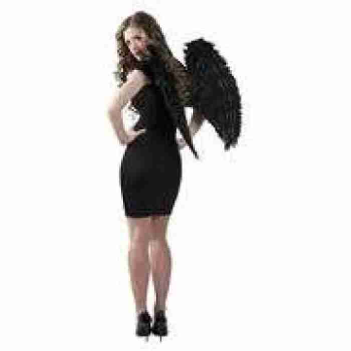 Angel Wings 74583