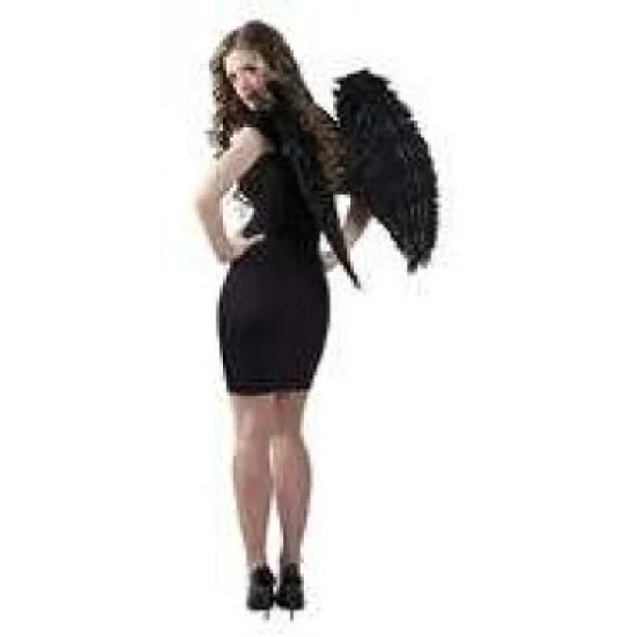 Angel Wings - Image 1