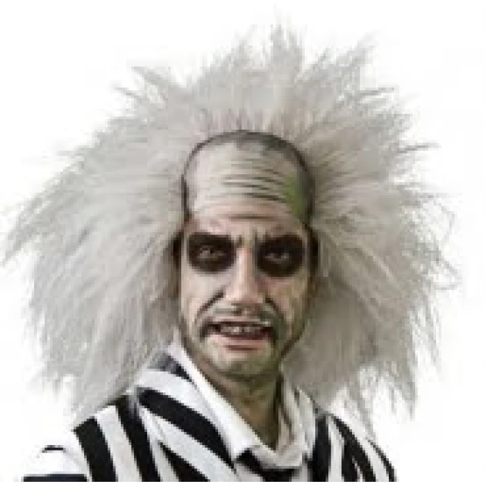 BeetleJuice Wig - Image 1