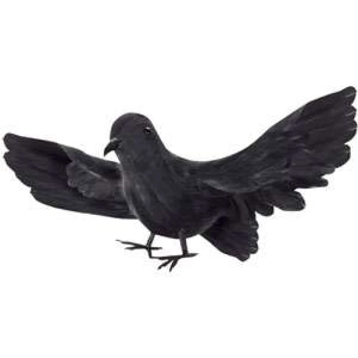 Bird with Feathers - Image 1