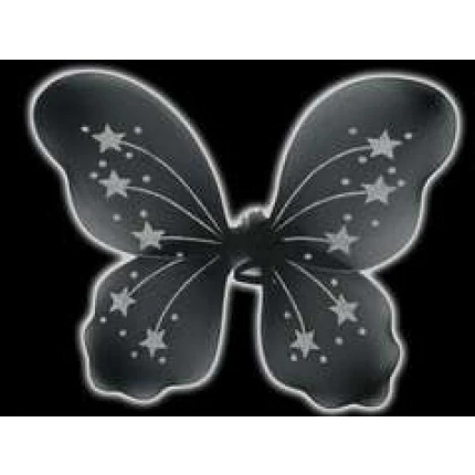 Black Fairy Wings