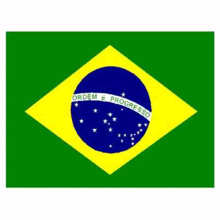 Brazil Flag F77055