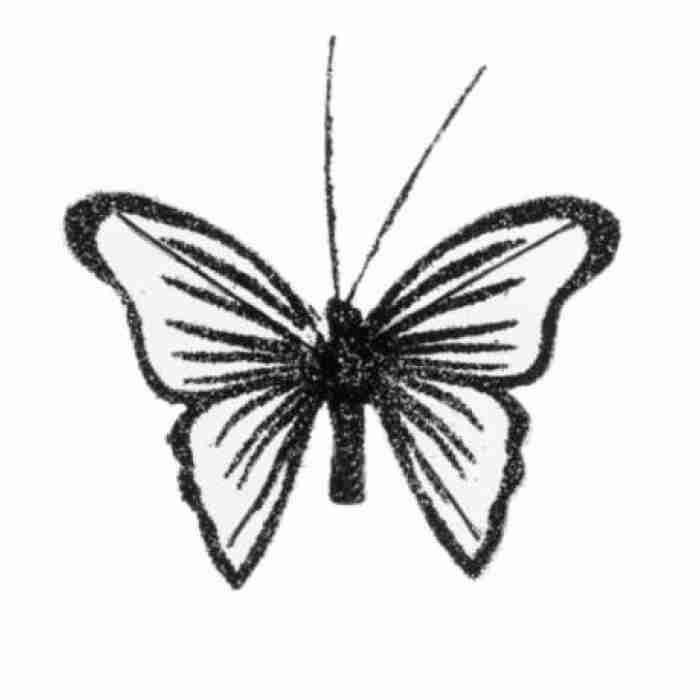 Butterflies Fairy Gittered Black 8cm 227006