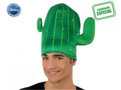 Cactus Hat 16170 img