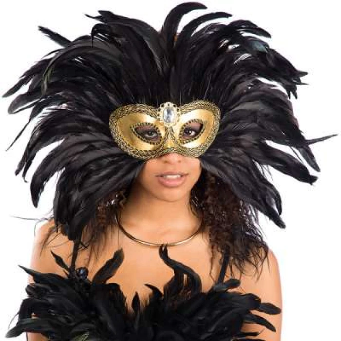 Carnival Feather Headdress - Image 1
