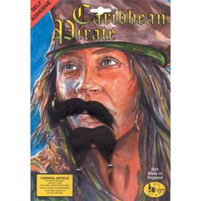 Carribean Pirate - Image 1