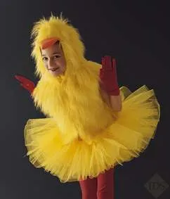 Chicken Tabard