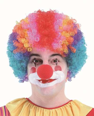 Clown Wig ew8098 img