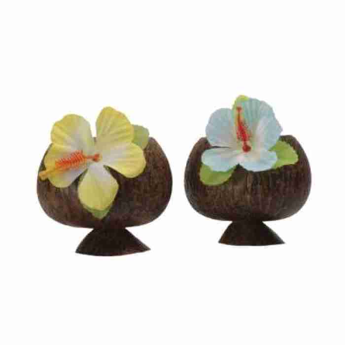 Coconut Cup and Straw Assorted Colours 52374