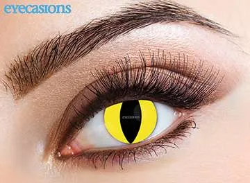 Contact Lens Feline