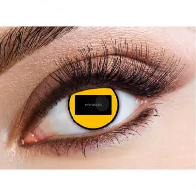 Contact Lens Goat ECDTGT