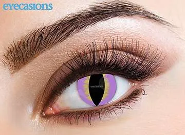 Contact Lens Lizard Purple ECLPL