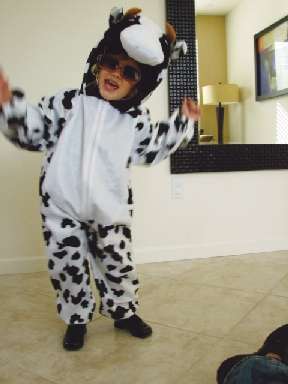 Cow Costume 80775