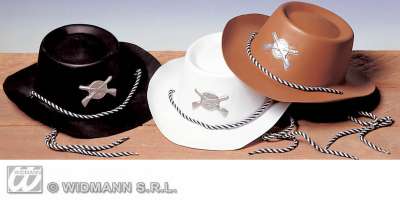 Cow boy Hats 5490C