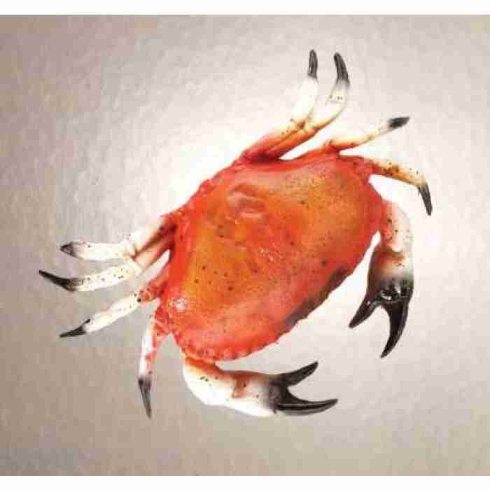 Crab