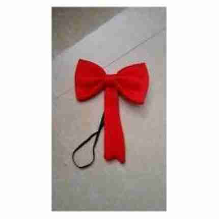 Crazy Cat And Bow Tie