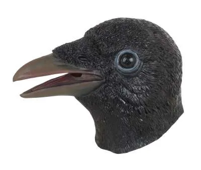 Crow Mask