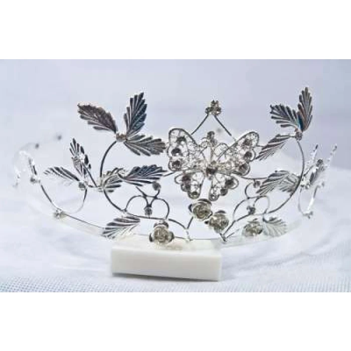Crown Tiara With Crystals - silver birds - Image 1