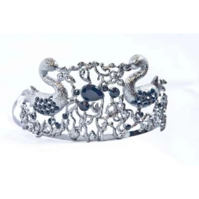 Crown Tiara With Crystals - Silver Swans - Image 1