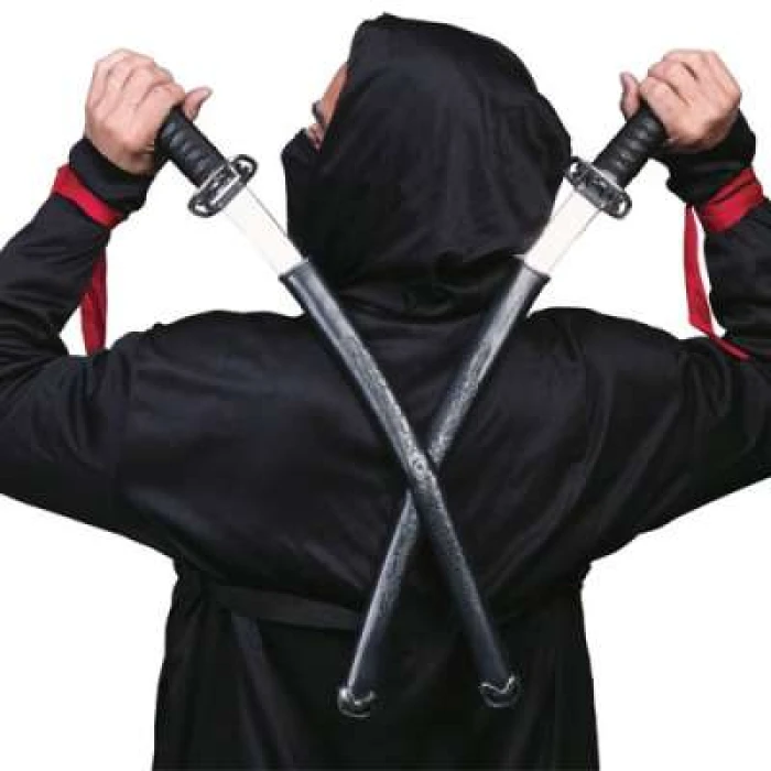 Double Ninja Sword - Image 1