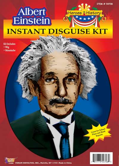 Einstein Wig and Moustache 54708 img