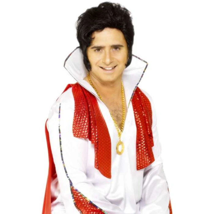 Elvis Wig - Image 1