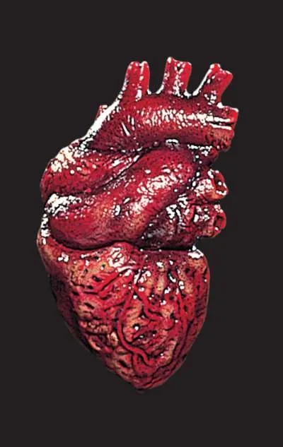 Fake Heart