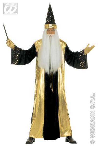 Fantasy Wizard 3497W b img