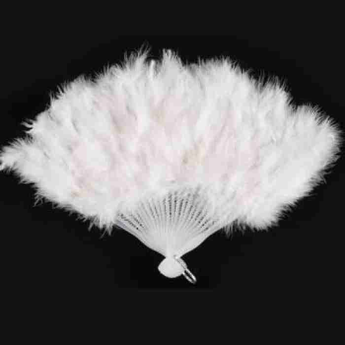 Feather Fan1