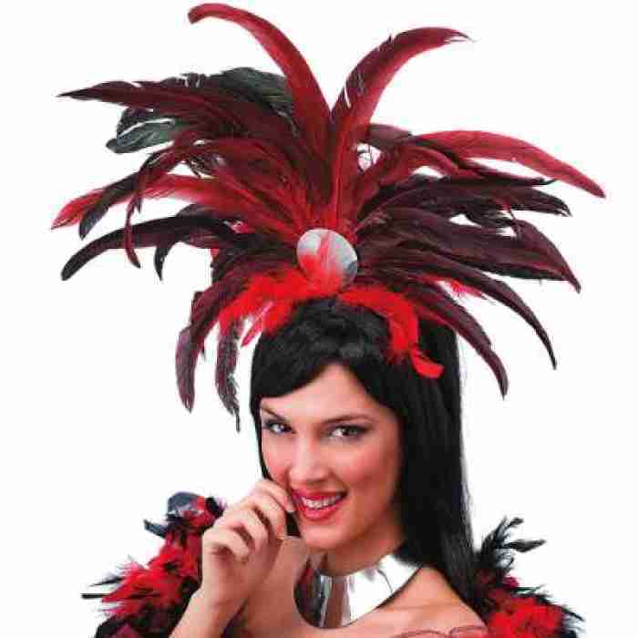 Feather Headdress 01941