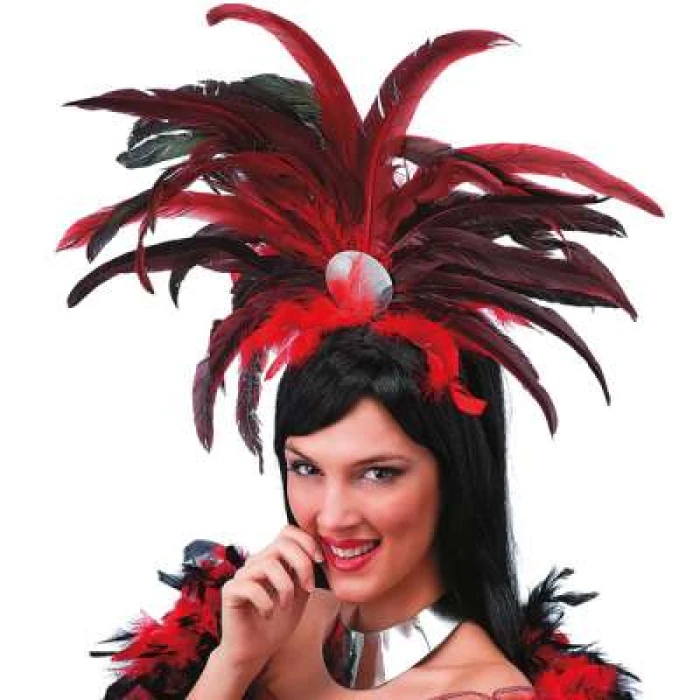 Feather Headdress - Image 1