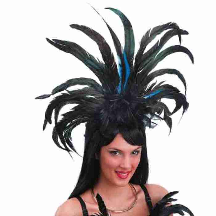 Feather Headdress 01942