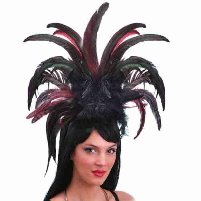Feather Headdress 01943