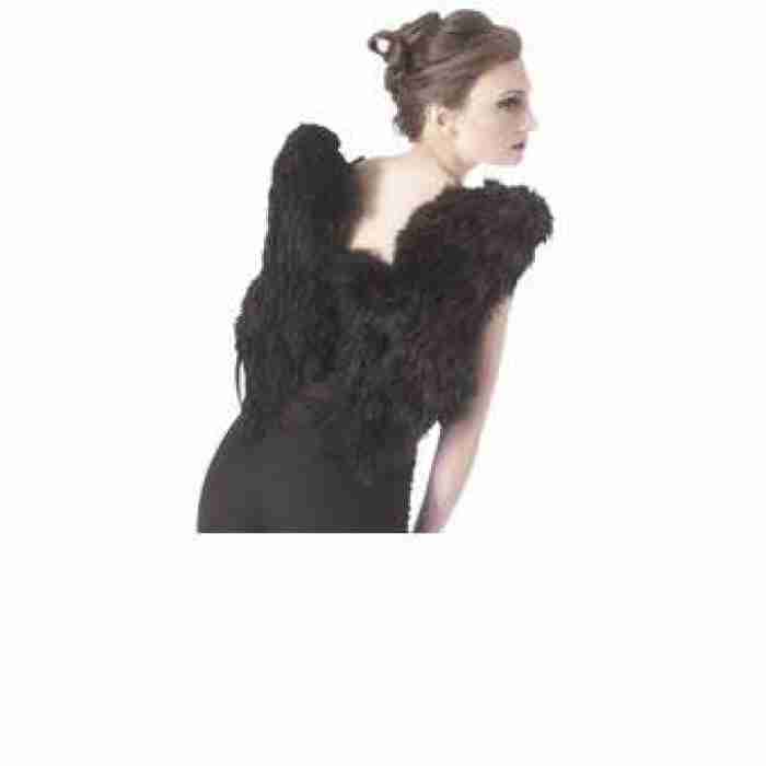 Feather Wings Black1