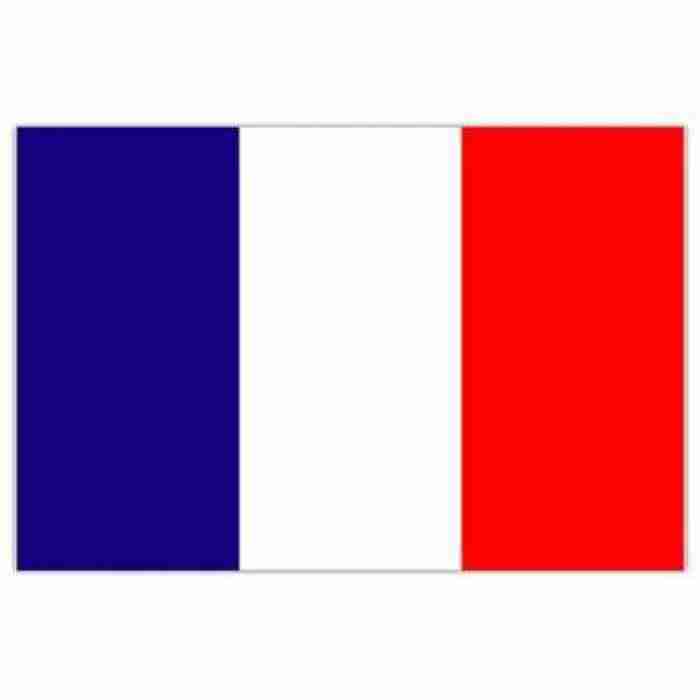 Flag France F77013