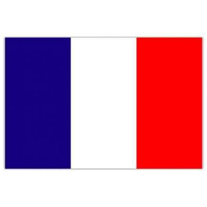 Flag France - Image 1