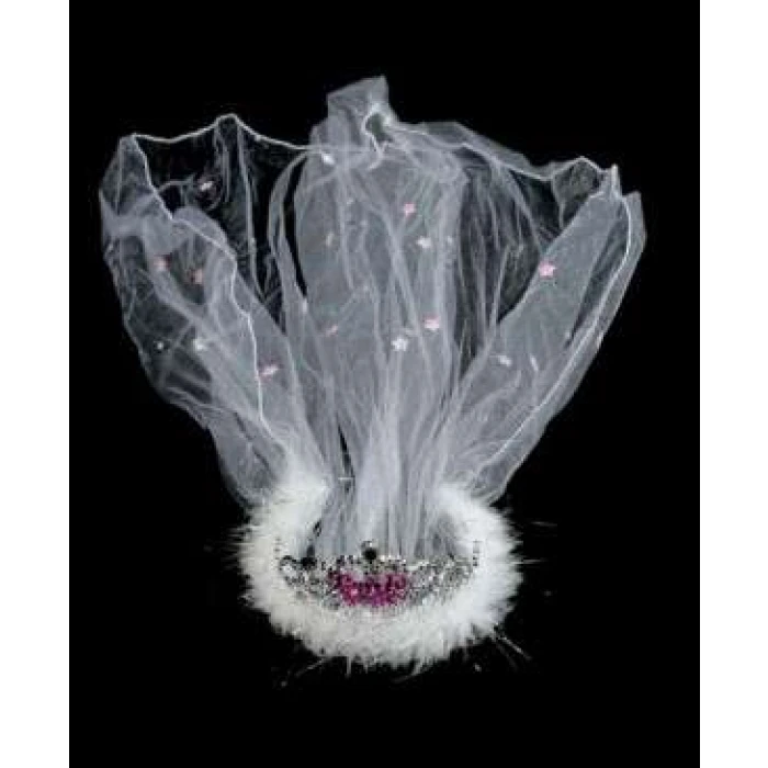 Flashing Pink Bride To Be Tiara And Veil - Image 1