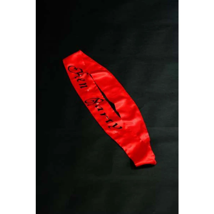 Flashing Sash Hen Party - Image 1