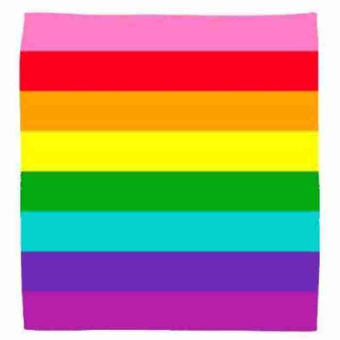 Gay Pride Rainbow Flag Bandana Toptrenz2