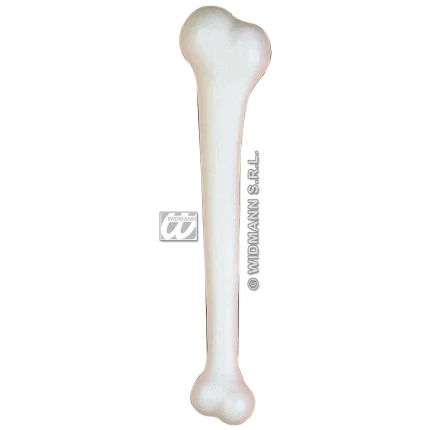 Giant Bone