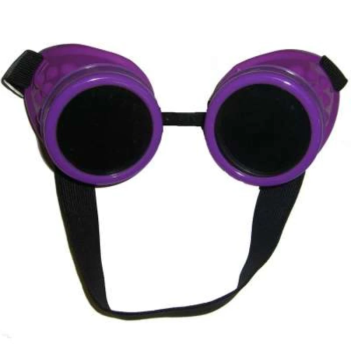 Goggles- Purple - Image 1