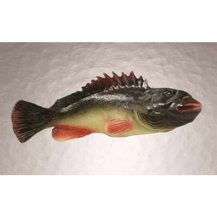 Grouper- 22cm - Image 1
