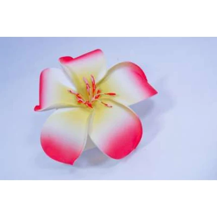 Hawaain Flower Hair Clip Fucshia & White